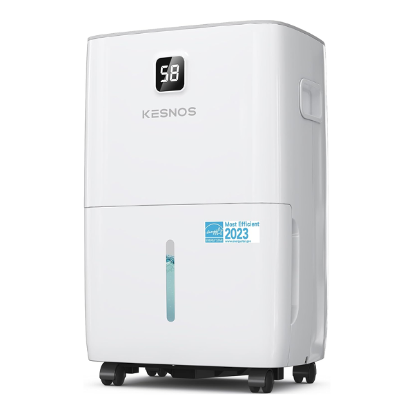 Dehumidifier