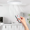 Smart Fan Light