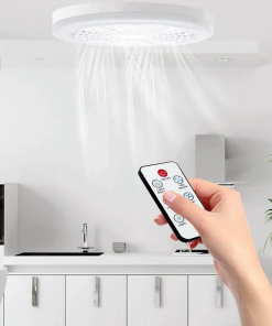 Smart Fan Light